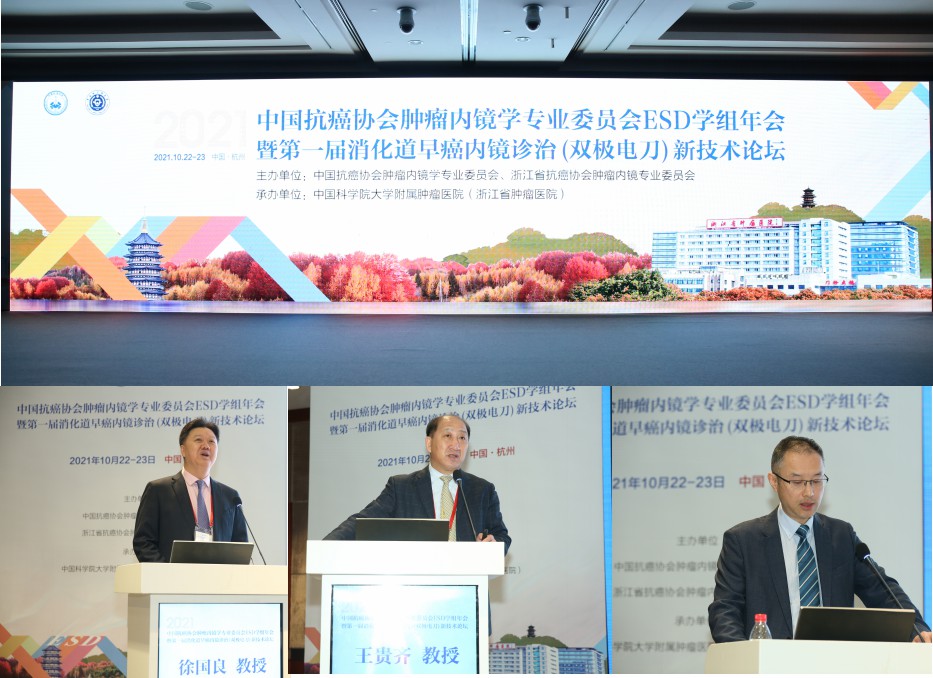 无码AV久久久久久久久